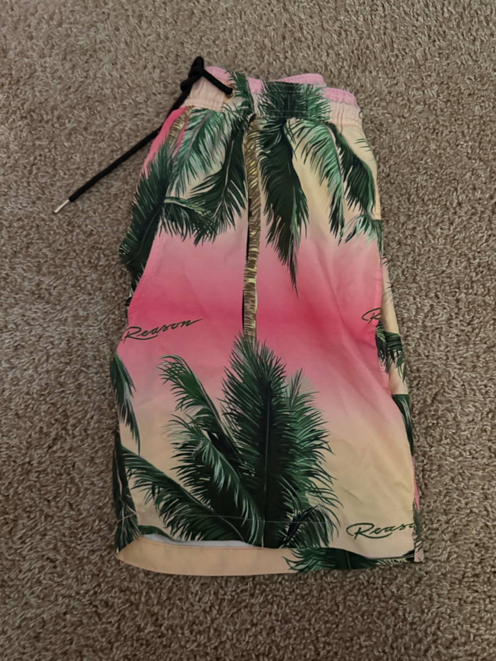 Reason Pink Gradient Palm Tree Swim Trunks